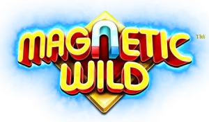 Magnetic Wild Dice
