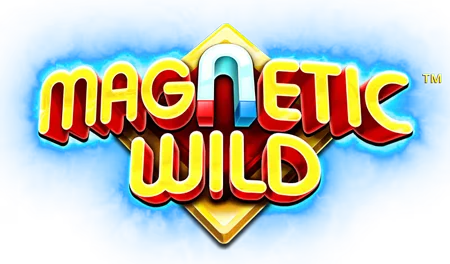 Magnetic Wild Dice